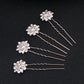 #04448188 Golden Rhinestones/Alloy Hairpins (Set for 4)