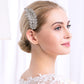 #04448209 Strass, Alliage Feuilles Design Peigne