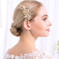 #04418219 Peigne à cheveux Golden Follow