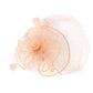 #03948009 Ladies' Cambric Fascinators With Veil